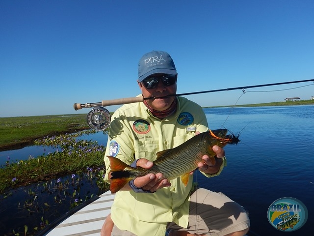 PIRA LODGE - Pantanal Argentino - Temporada 2.016